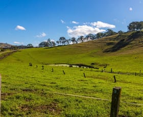 Rural / Farming commercial property sold at Lot 12/378 Paterson River Road Gresford NSW 2311