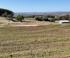 Rural / Farming commercial property sold at 503 Ashworth Road York WA 6302