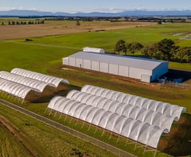 Rural / Farming commercial property sold at Cressy TAS 7302