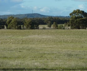 Rural / Farming commercial property sold at CA91 Eucy Road Woolshed Flat VIC 3518