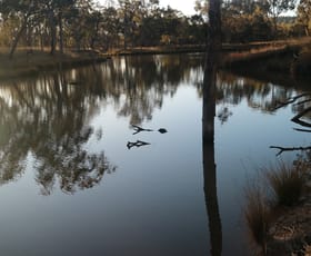 Rural / Farming commercial property sold at 1339 Grove Road Bassendean NSW 2365