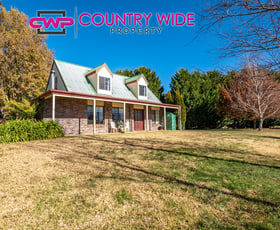 Rural / Farming commercial property sold at 162 Toms Gully Road Black Mountain NSW 2365