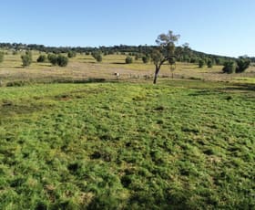Rural / Farming commercial property sold at 134 Nollers Road Silverleigh QLD 4401