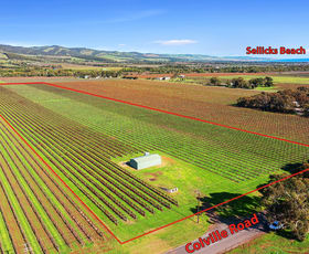 Rural / Farming commercial property sold at Lot 42 Colville Road Sellicks Hill SA 5174
