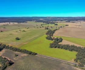 Rural / Farming commercial property sold at 'Doona' 2989 Neilrex Rd Coolah NSW 2843