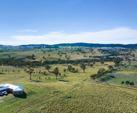 Rural / Farming commercial property sold at 77 Winston Way Molong NSW 2866