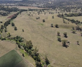 Rural / Farming commercial property sold at 83 Bolah Gap Road Quirindi NSW 2343