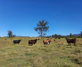 Rural / Farming commercial property sold at Gladstone-Monto Road Boyne Valley QLD 4680