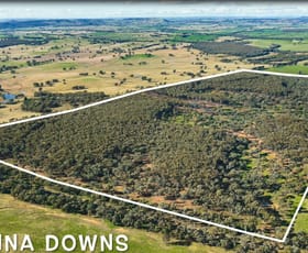 Rural / Farming commercial property for sale at . Holbrook Wagga Road Cookardinia NSW 2650