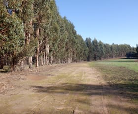Rural / Farming commercial property sold at Lots 3 & 7 Pomeroy Road Manjimup WA 6258