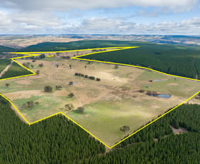 Rural / Farming commercial property sold at 727 Swallows Nest Road Oberon NSW 2787