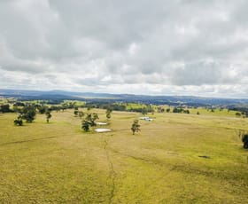 Rural / Farming commercial property sold at 1258 Moona Plains Rd Walcha NSW 2354