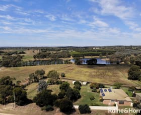 Rural / Farming commercial property sold at 75 Tierneys Road Young NSW 2594