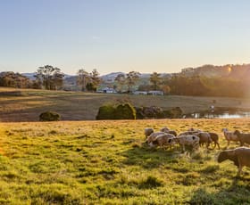 Rural / Farming commercial property sold at 351 Monkerai Road Main Creek NSW 2420