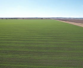 Rural / Farming commercial property sold at 478 Acres Grain Farm Jandowae QLD 4410 Rural / Farming commercial property sold at 478 Acres Grain Farm Jandowae QLD 4410