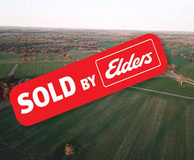 Rural / Farming commercial property for sale at 86 Green Gully Road Road Moama NSW 2731