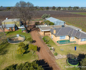 Rural / Farming commercial property sold at Farm 40 Zandona Road Yenda NSW 2681