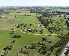 Rural / Farming commercial property sold at 3637 Olympic Highway Young NSW 2594