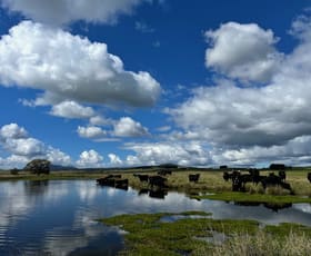 Rural / Farming commercial property sold at 483 Little River Road Braidwood NSW 2622
