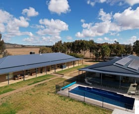 Rural / Farming commercial property sold at 329 McDonald Road Gunnedah NSW 2380