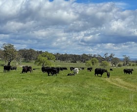 Rural / Farming commercial property sold at 1170 Euradux Road Braidwood NSW 2622