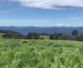 Rural / Farming commercial property sold at Rosedale/681 Rocky Creek Road Dorrigo NSW 2453