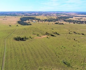 Rural / Farming commercial property sold at Kooroora 484 Yeovil Road Wandoan QLD 4419