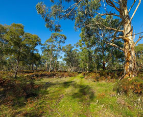 Rural / Farming commercial property sold at Lake Gorrie Road Macarthur VIC 3286