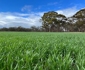 Rural / Farming commercial property sold at . 'Wells" Dangin North Road Quairading WA 6383