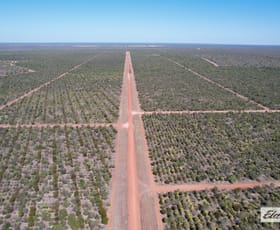 Rural / Farming commercial property sold at 120 Homestead Road Mataranka NT 0852