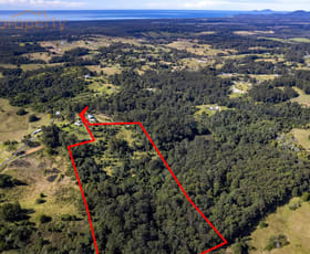 Rural / Farming commercial property sold at 153 Newee Creek Road Newee Creek NSW 2447