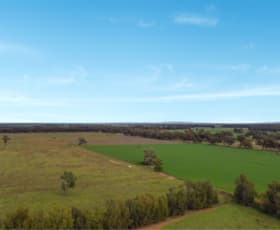 Rural / Farming commercial property sold at Prairie Homes Newell Highway Forbes NSW 2871