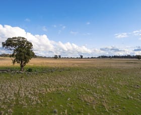 Rural / Farming commercial property sold at Fourways Uphills Road Forbes NSW 2871