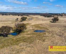 Rural / Farming commercial property sold at 86 Brooklyn Road Dunedoo NSW 2844