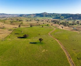 Rural / Farming commercial property sold at Califat Road Adelong NSW 2729