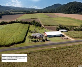 Rural / Farming commercial property for sale at 1136 Silkwood Japoon Road Japoonvale QLD 4856