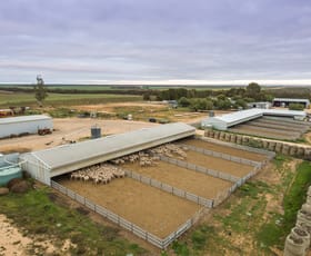 Rural / Farming commercial property for sale at 25, 35, 41 Maggea Road Waikerie SA 5330