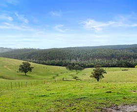 Rural / Farming commercial property for sale at 225 North Mountain Road Heathcote Junction VIC 3758