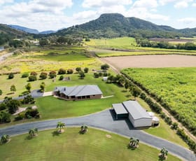 Rural / Farming commercial property sold at 1704 Bruce Highway The Leap QLD 4740