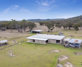 Rural / Farming commercial property sold at 1218a Wallangra Road Ashford NSW 2361