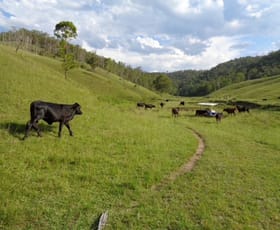Rural / Farming commercial property sold at 2501 - 2805 Rocky River Road Rocky River NSW 2372