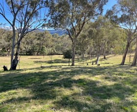 Rural / Farming commercial property sold at 107 Doyles Creek Road Doyles Creek NSW 2330