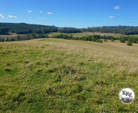 Rural / Farming commercial property for sale at Lot 10 Eggins Road Kyogle NSW 2474