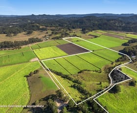 Rural / Farming commercial property sold at 207 Hulls Road Crabbes Creek NSW 2483