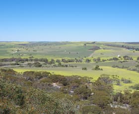 Rural / Farming commercial property for sale at 435 Warradarge Via Badgingarra WA 6521