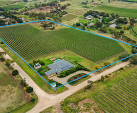 Rural / Farming commercial property sold at 84 Wheaton Road Mclaren Vale SA 5171