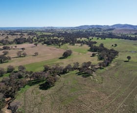 Rural / Farming commercial property sold at Talbragar, Bogolara Road Bookham NSW 2582