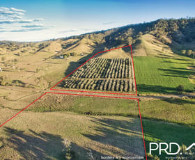 Rural / Farming commercial property sold at Lot 11 Eden Creek Road Upper Eden Creek NSW 2474