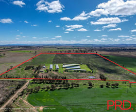Rural / Farming commercial property sold at 153 Byamee Lane Wallamore NSW 2340