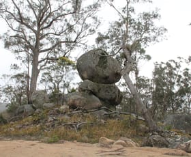 Rural / Farming commercial property sold at Lot 214 Mount Lindesay Road Tenterfield NSW 2372